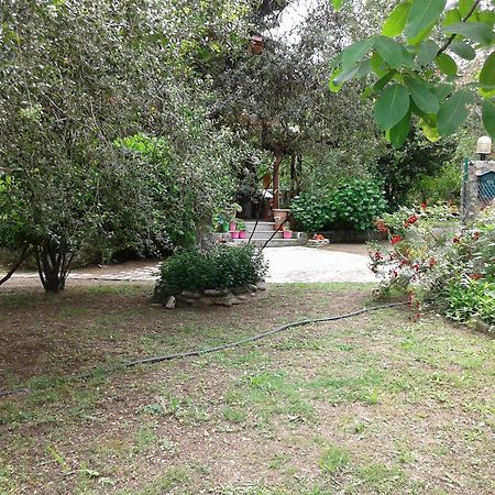Akamatis Giorgos Hotel Therma  Luaran gambar