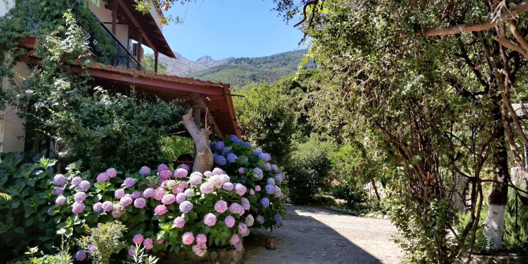 Akamatis Giorgos Hotel Therma  Luaran gambar